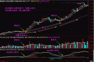 全国市场监管系统质量发展工作座谈会暨质量强企强链强县工作部署会在福建泉州召开